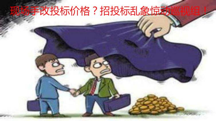 現場手改投標價格？招投標亂象驚動巡視組！